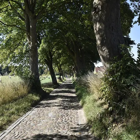 度假居 Romantischer Rueckzugsort In Kroepelin In Strandnaehe *